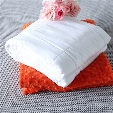 프리미엄 슈퍼 소프트 밍키 도톰한 헤비 블랭킷